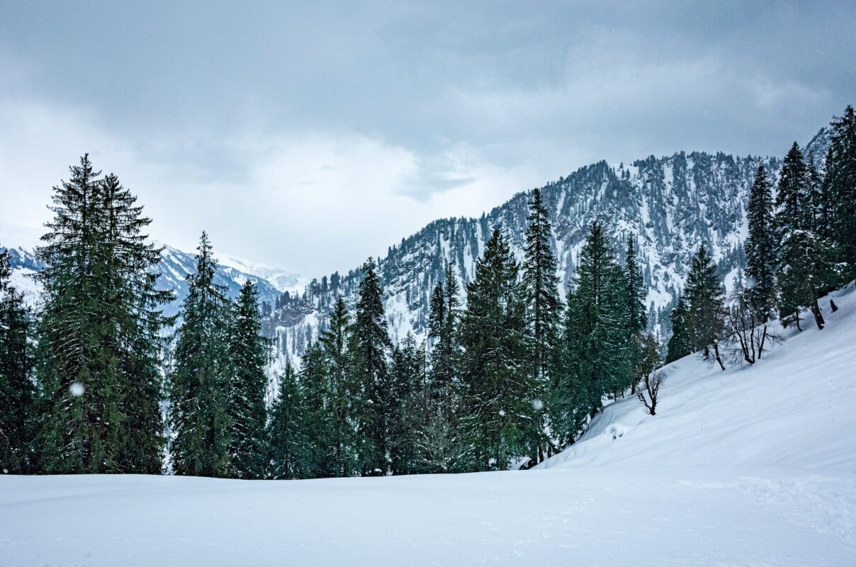 Manali